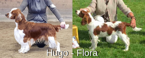 Hugo och Flora